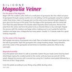 Magnolia Veiner by James Rosselle
