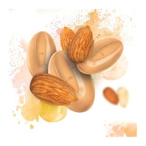 Almond Inspiration 30.5% Cocoa Feves By Valrhona 1 lb