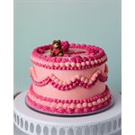 Med Size Cake Decorating Tip Set