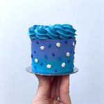 Mini Cake Decorating Kit